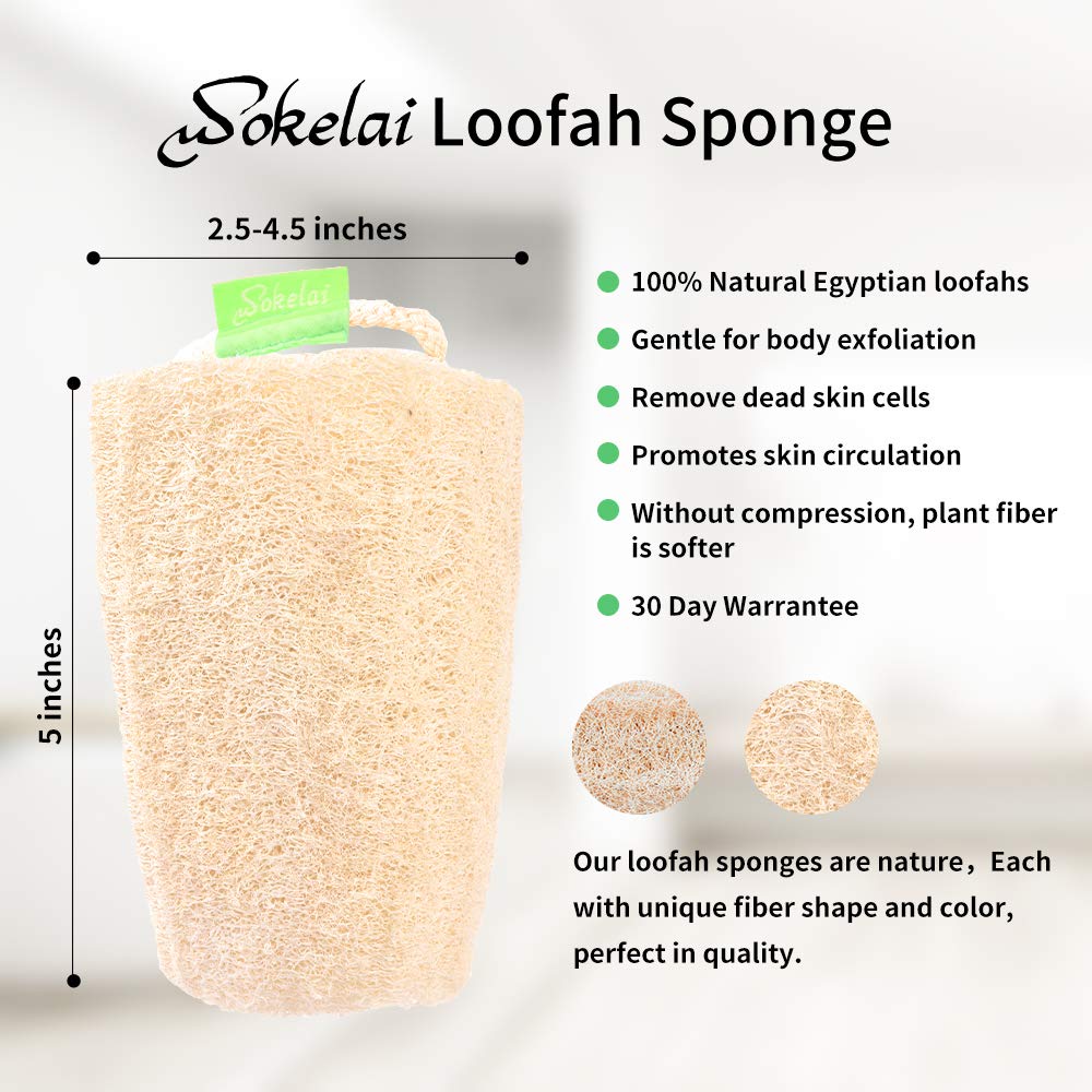 Natural Loofah Sponge - Exfoliating Body Scrubber for Shower Scrubbing, Organic Luffa Sponges, Egyptian Real Loofa, Bath Shower Puff for Bathing, Spa