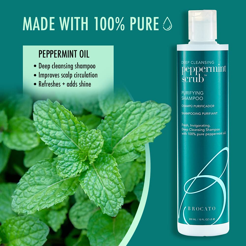 Brocato Peppermint Scrub Purifying Shampoo, Deep Cleansing, 10 Oz. | Fresh, Invigorating, & Lightweight with Pure Peppermint Oil | Ideal for Oily