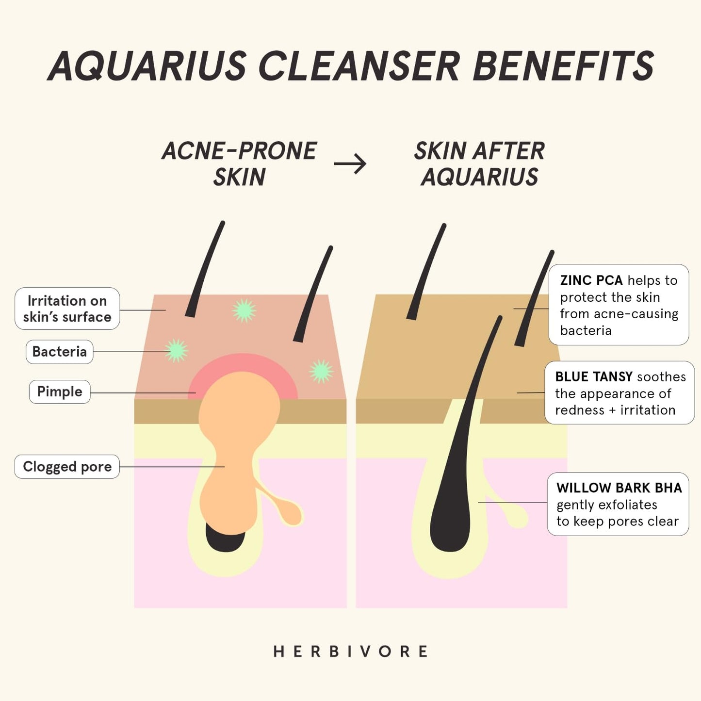HERBIVORE Aquarius BHA + Blue Tansy Clarity Cleanser | Deep Cleansing Face Wash with Gentle Exfoliation for Oily-Combination Skin, Vegan, 100 mL / 3.3