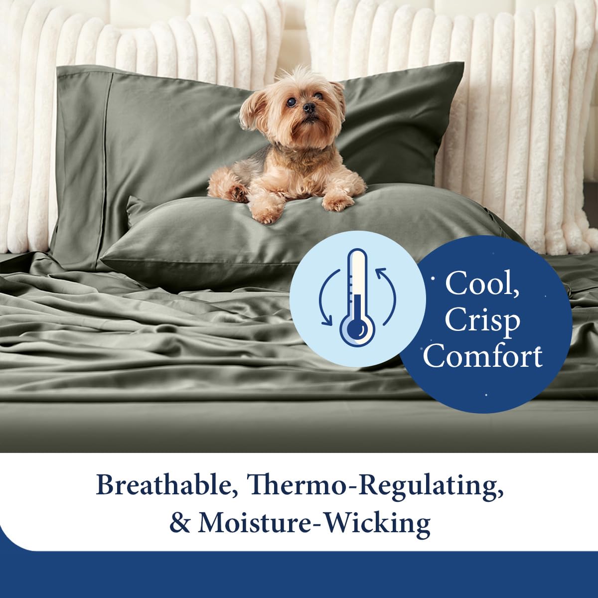 Cosy House Collection 100% Rayon Derived from Bamboo Pillowcase Set - Cooling, Breathable, Silky Soft 2-Piece Envelope Closure Pillow Case Cover Set