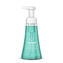 Method Foaming Hand Soap, Waterfall, Paraben and Phthalate Free, 10 Fl Oz (Pack of 1)
