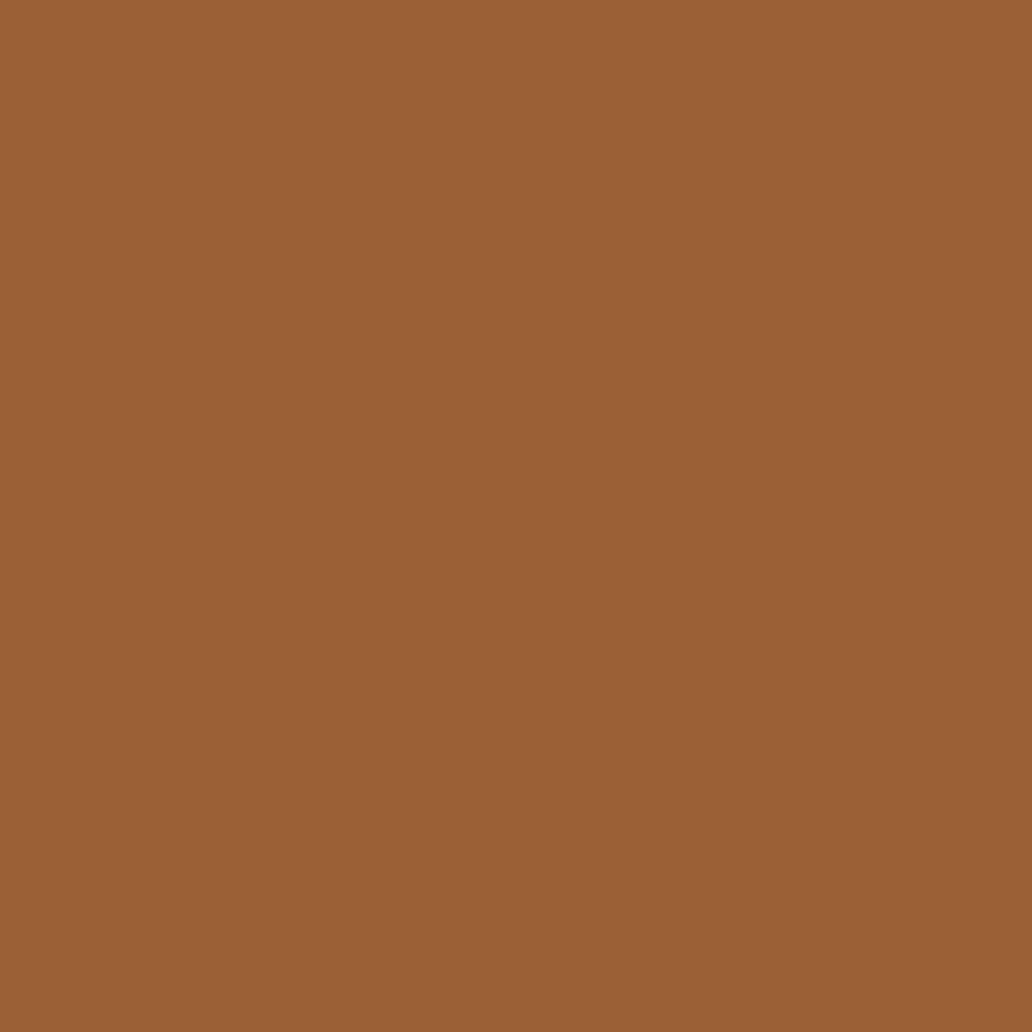 Neutrogena Hydro Boost Hydrating Foundation Stick with Hyaluronic Acid, Oil-Free & Non-Comedogenic Moisturizing Makeup for Smooth Coverage & Radiant-Looking Skin, Cocoa, 0.29 oz
