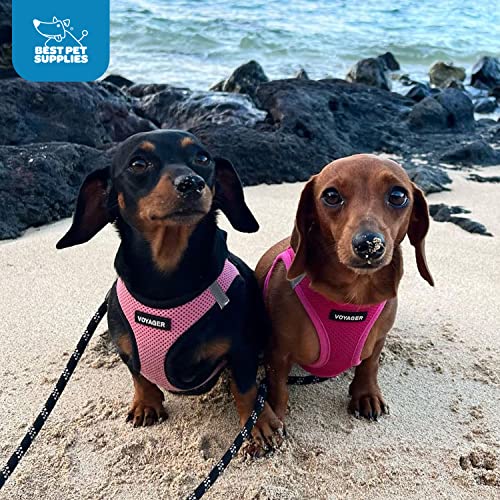 Best Pet Supplies Voyager Step-in Air Dog Harness - All Weather Mesh, Reflective No-Pull for Small/Medium Dogs & Cats - Secure Buckle, D-Rings - Fuchsia S