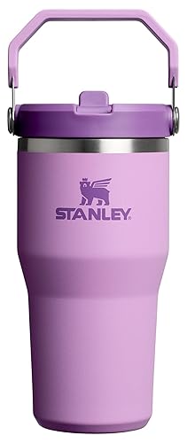 STANLEY IceFlow 2.0 Flip Straw Tumbler with Handle 20 oz | Twist On Lid and Flip Up Straw | Leak Resistant Water Bottle | Insulated Stainless Steel…