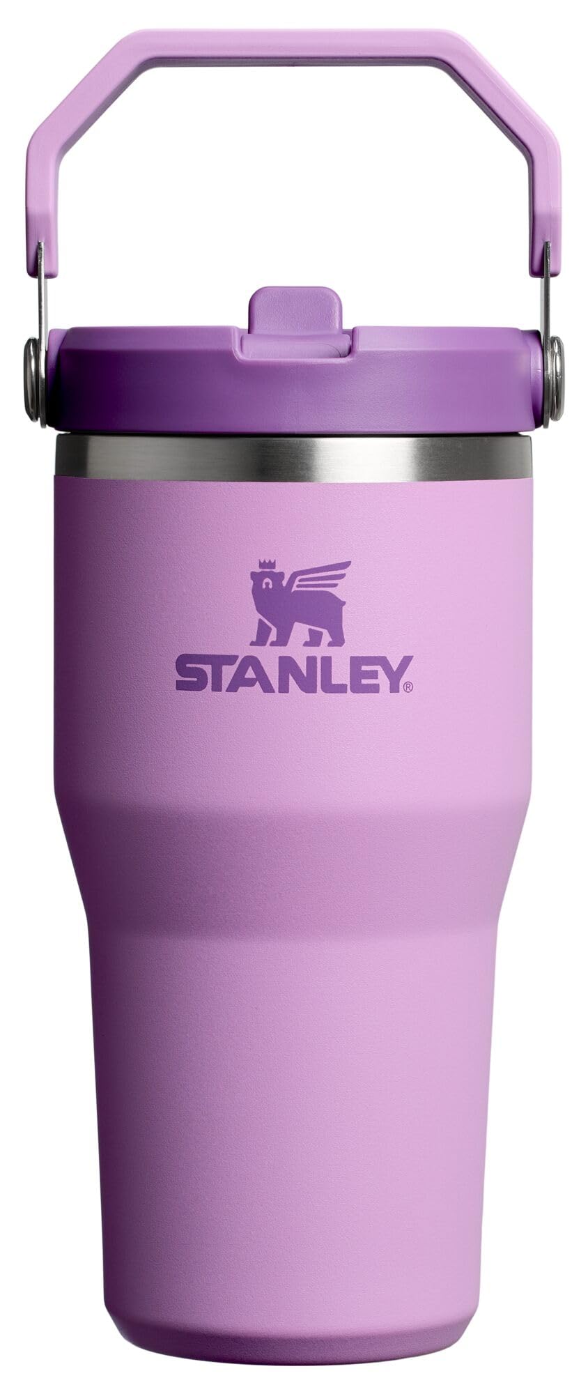STANLEY IceFlow 2.0 Flip Straw Tumbler with Handle 20 oz | Twist On Lid and Flip Up Straw | Leak Resistant Water Bottle | Insulated Stainless Steel…