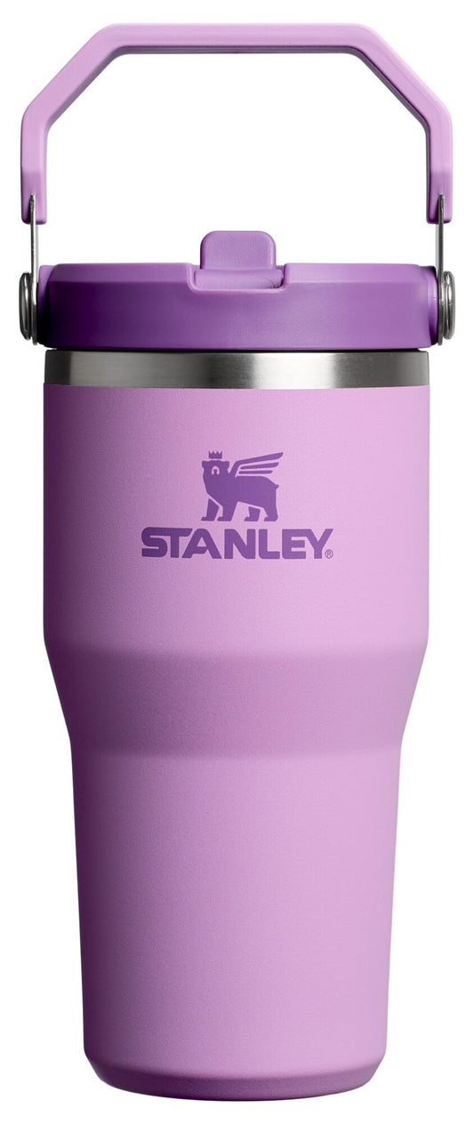 STANLEY IceFlow 2.0 Flip Straw Tumbler with Handle 20 oz | Twist On Lid and Flip Up Straw | Leak Resistant Water Bottle | Insulated Stainless Steel…