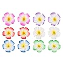 Amosfun 12Pcs Hawaii Plumeria Flower Clips Artificial Tropical Flower Hairpin Barrette Hair Accessories for Bridal Wedding Luau Beach Tropical