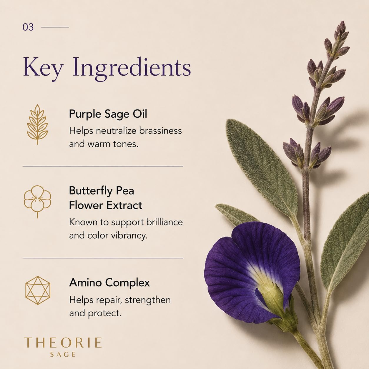 THEORIE 400 mL Shampoo & Conditioner Collection (THEORIE Sage Collection Hair Care Sets (Purple Sage 400 mL Shampoo & Conditioner Set))