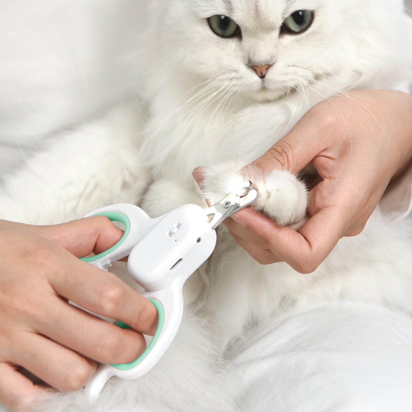 PAKEWAY Pet Nail Clipper with LED & UV Light – Sharp Angled Blade for Safe Grooming of Cats, Dogs, Rabbits & Small Animals