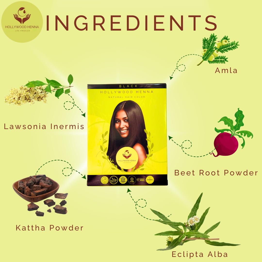 Hollywood Henna Hair Color Kit (Black) Organic Color Hair Beard Dye (Pack of 1-100g) Henna Based Hair Colors with Pure Herbs Free Chemicals Long