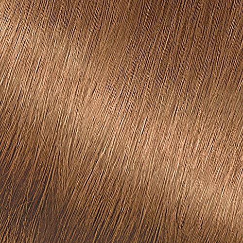 Garnier Nutrisse Nourishing Color Creme 70 Dark Natural Blonde (Almond Creme)