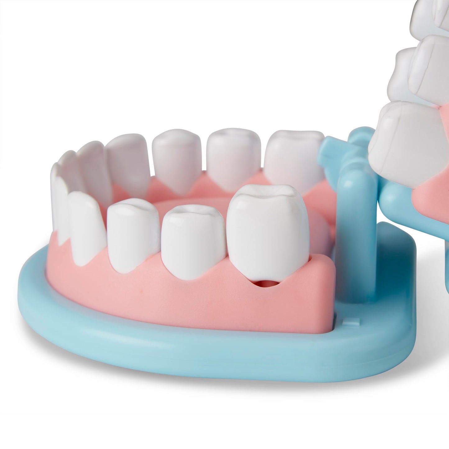 Melissa & Doug Super Smile Dentist Kit with Pretend Play Set of Teeth and Dental Accessories (25 Toy Pieces) Pretend Dentist Play Set, for Kids Ages 3+