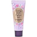 CANMAKE - Lasting Multi Eyebase WP - Smudge Fade Run Resistant Waterproof Eye Makeup Base - 0.28oz (8g) (01 Frosty Clear, 0.28oz (8g))