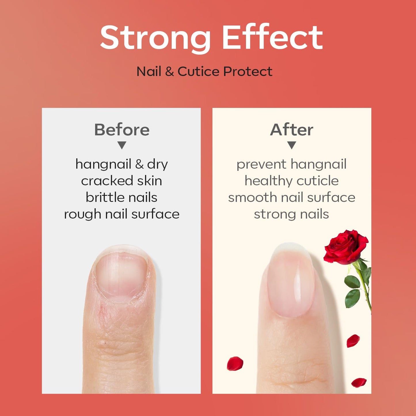 modelones Nail Strengthener Cuticle Oil for Nails Rose Nail Oil for Growth and Strength Nail Growth Oil Cuticle Care Quick Dry Nail Care Moisturize Beauty and Personal Care modelones