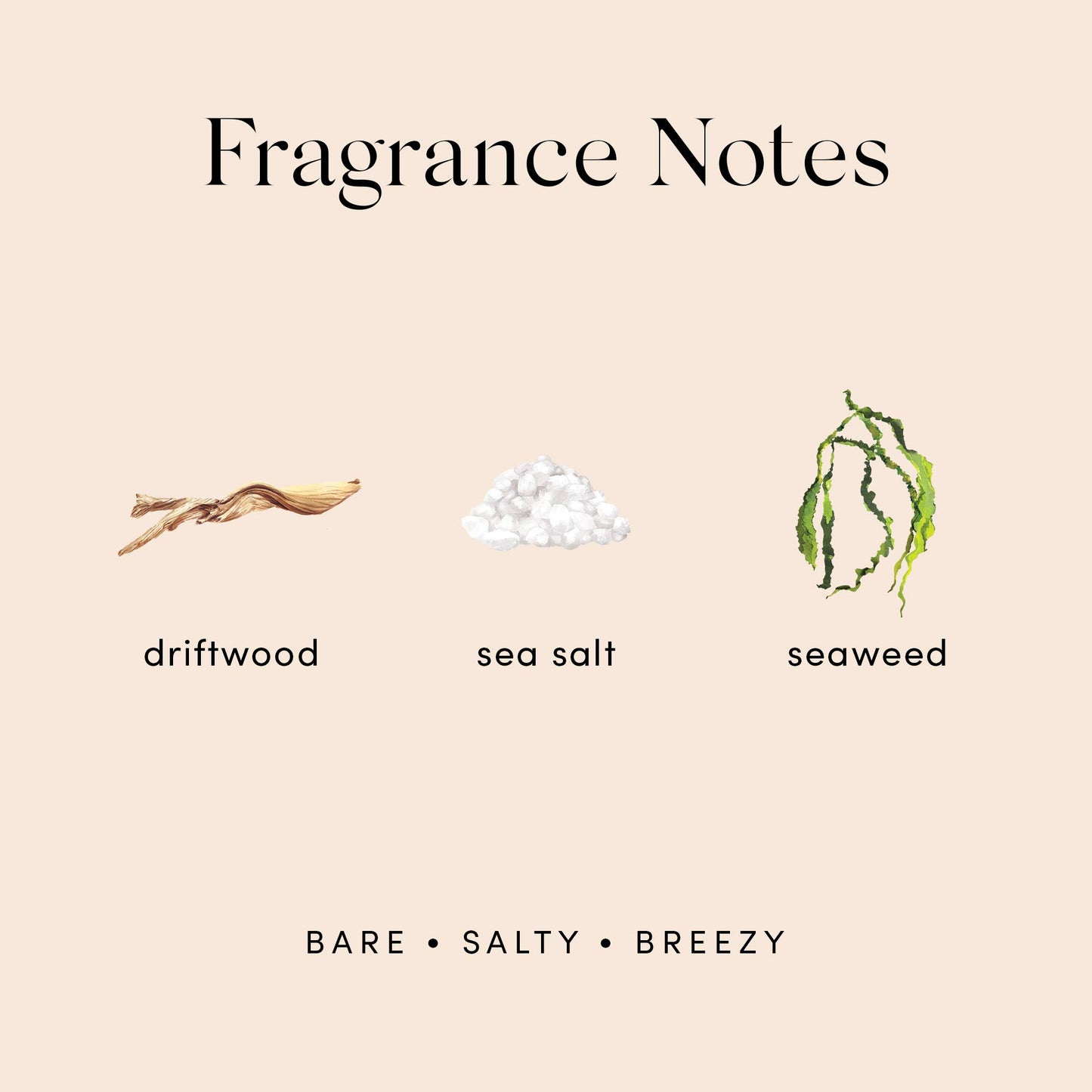 Salt Air Perfume By Skylar - Travel-Sized Rollerball - Paraben-Free, Phthalate-Free, Vegan, and Cruelty-Free Fragrance - Salty and Breezy - With Notes