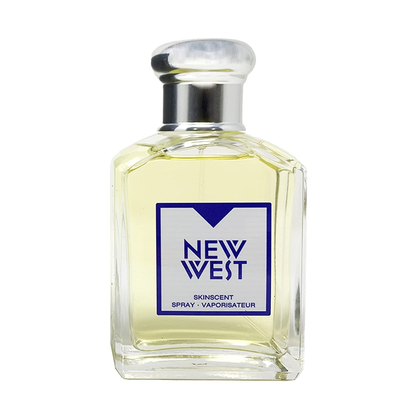 New West by Aramis Skinscent Spray 3.4 oz Beauty & Personal Care ARAMIS