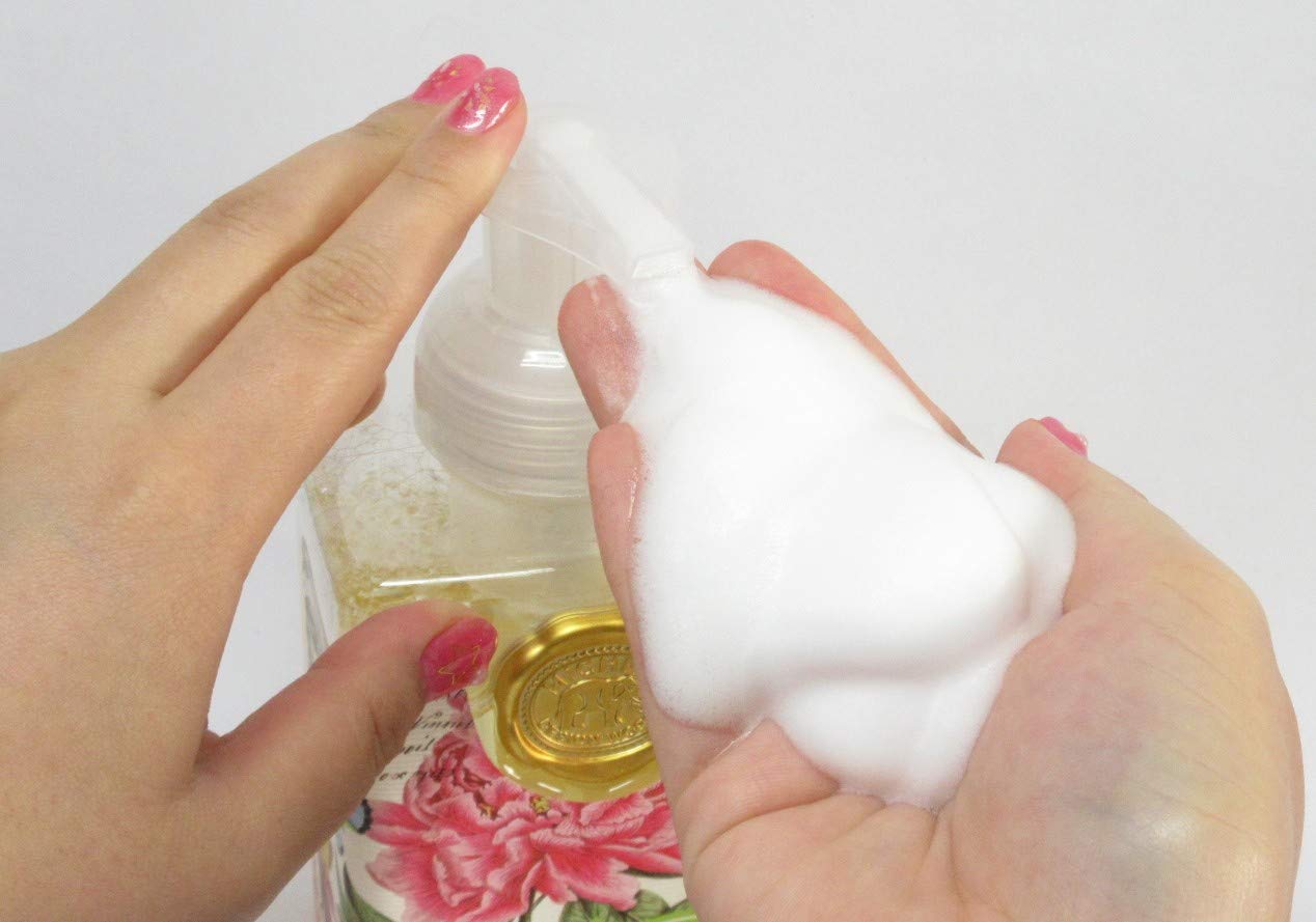 Michel Design Works Scented Foaming Hand Soap, Ho Ho Ho Beauty & Personal Care Michel Design Works