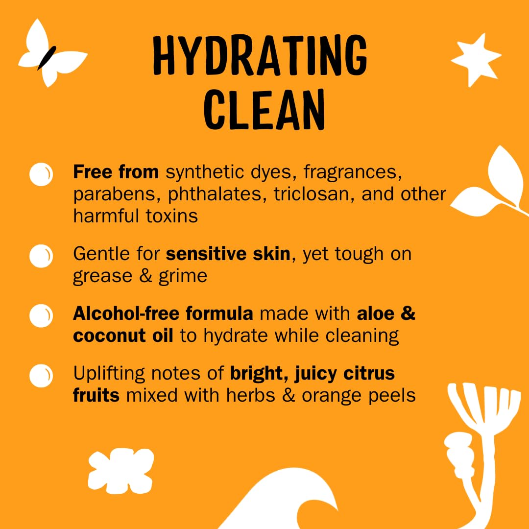 Molly's Suds Foaming Hand Soap - Made with Aloe and Coconut Oil | Moisturizing Hand Wash | Clean Ingredients, Infused with Essential Oils | Citrus