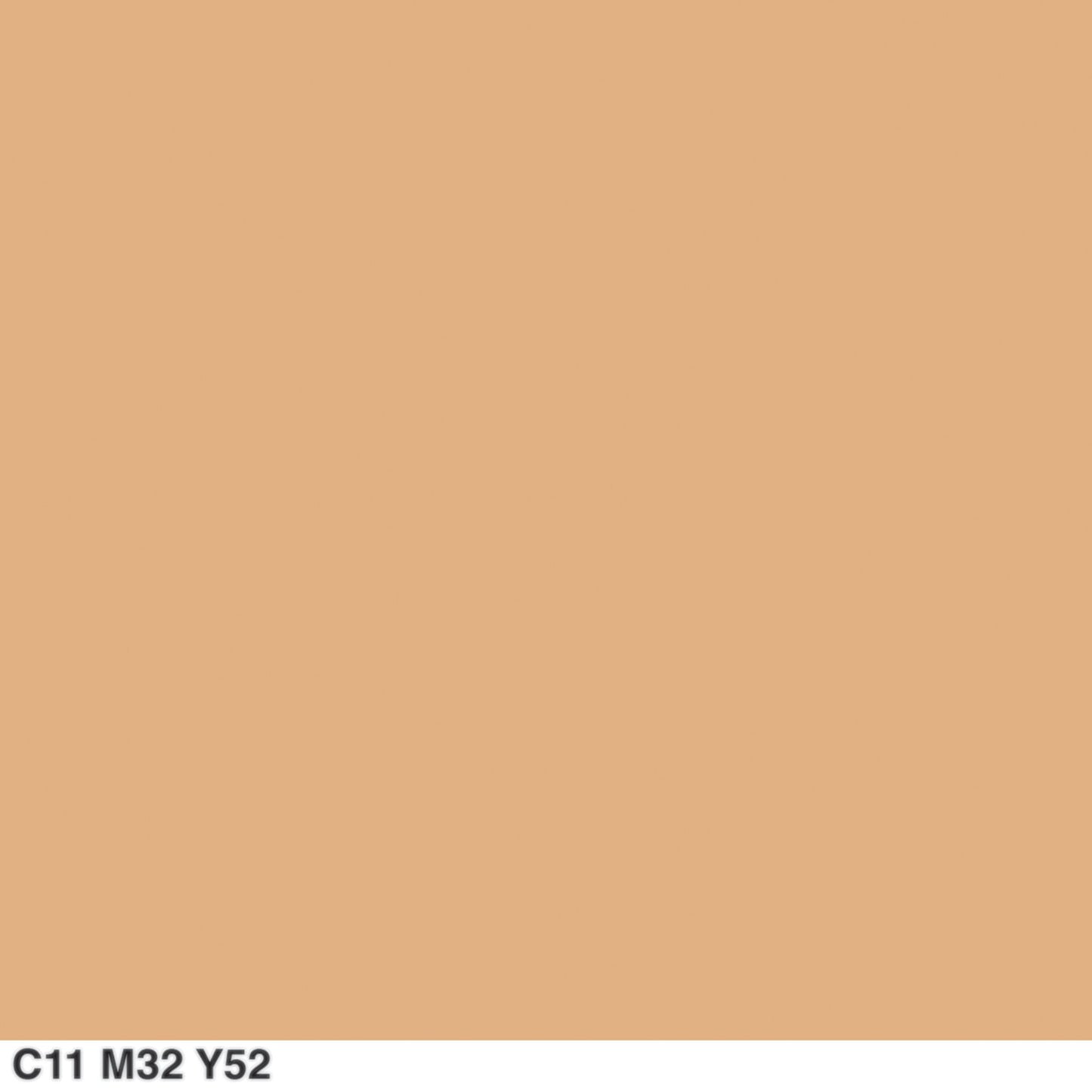 COVERGIRL Outlast All-Day Matte Finishing Powder Light to Medium .39 oz (11 g) (Packaging may vary)