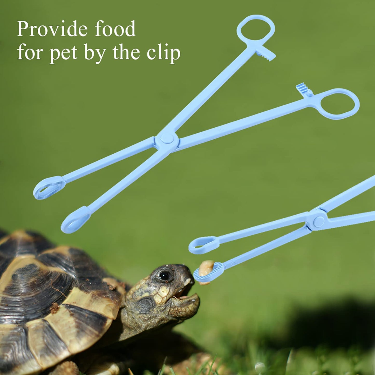 Reptile Feeding Tongs Blue Plastic Snake Lizard Clamps 24.5cm Wide Grip Safe Handling Tool for Pet Owners Breeders Amphibian Terrarium Enthusiasts Beauty and Personal Care GLOGLOW