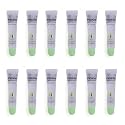 Maxie by Plantico Beauty Clear Lip Polish bulk (12 Pieces) CLEAR/ALOE (ALOE, 12 PCS)