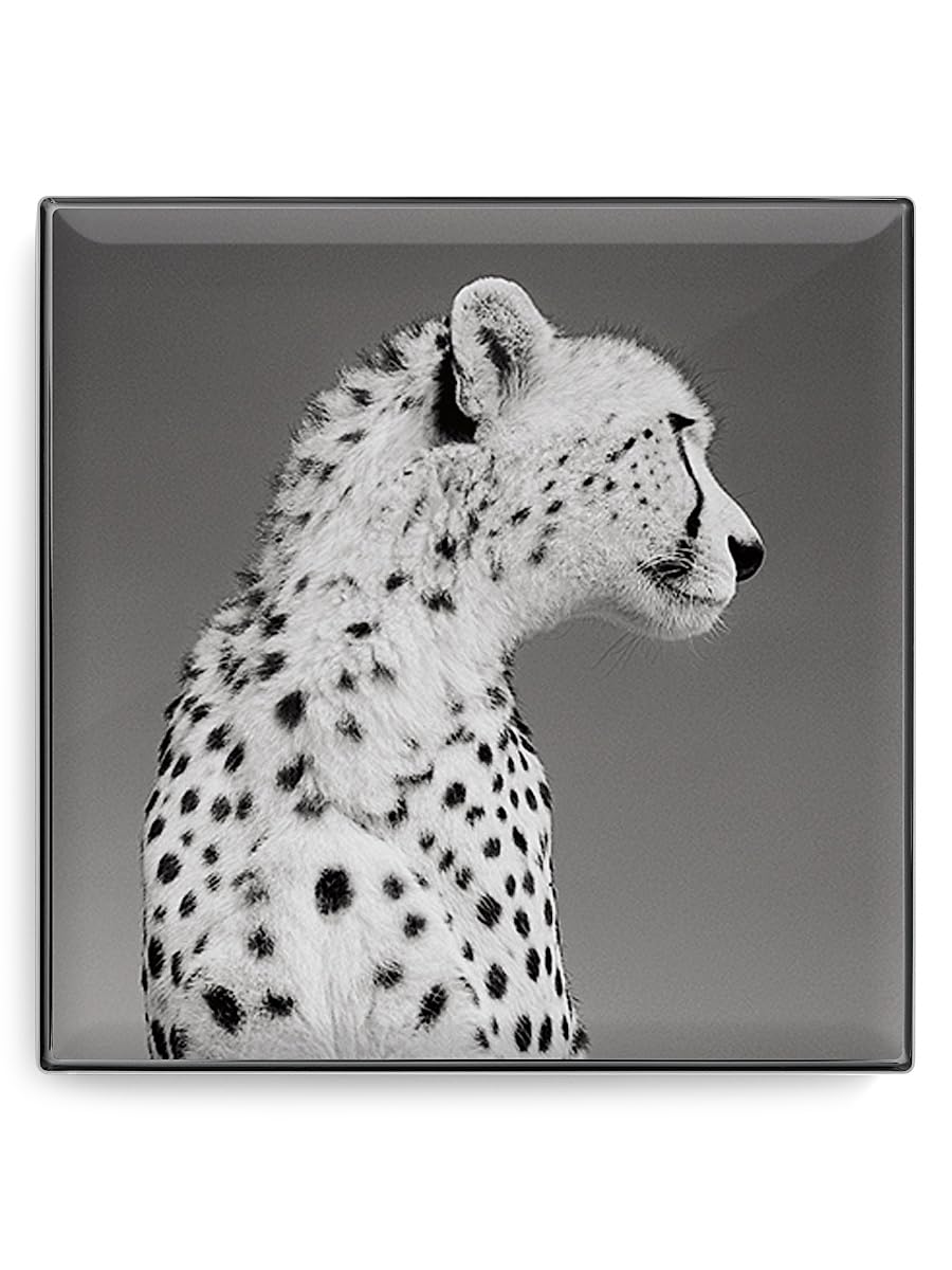 Chantecaille, Luminescent Eye Shade, Cheetah