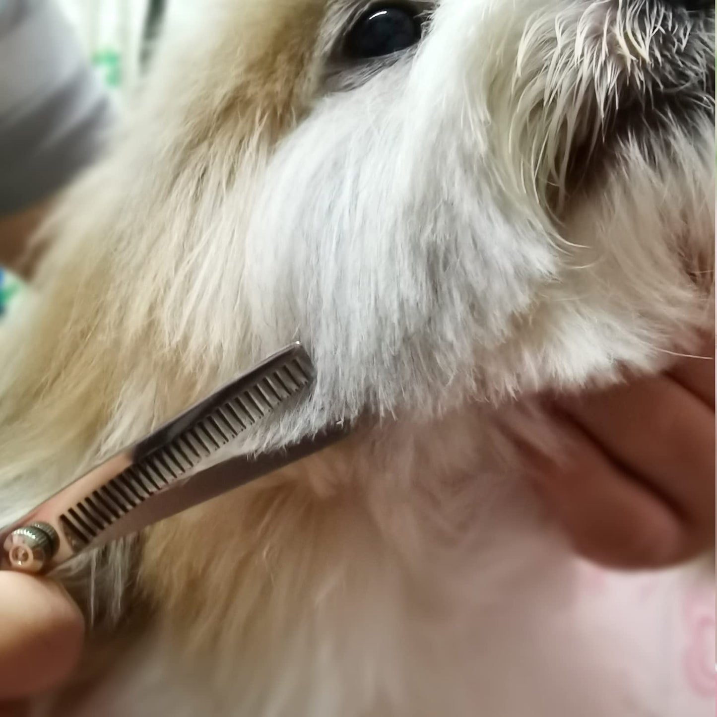 FAIGEO Dog Grooming Kit with Safety Round Tips Stainless Steel Professional Dog Shears Set - Thinning, Curved Scissors and Comb for Cat Pet