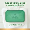 Irish Spring Deodorant Bar Soap, Original Clean, 4.5 Ounce (Pack of 20)