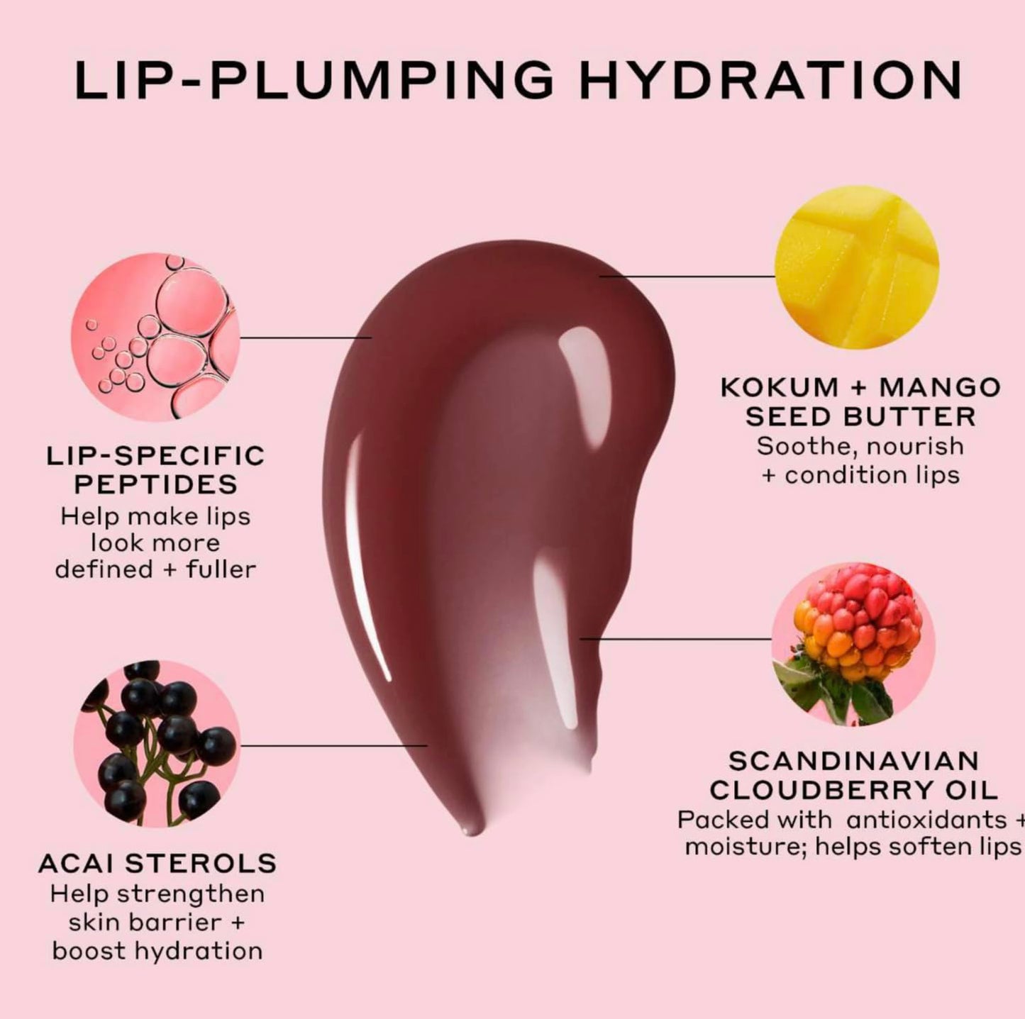 Ole Henriksen Cocoa Creme Pout Preserve Lip Peptide Treatment