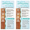 Water Works Permanent Powder Hair Color - #27 Natural Light Brown 0.2 oz. (Pack of 2)