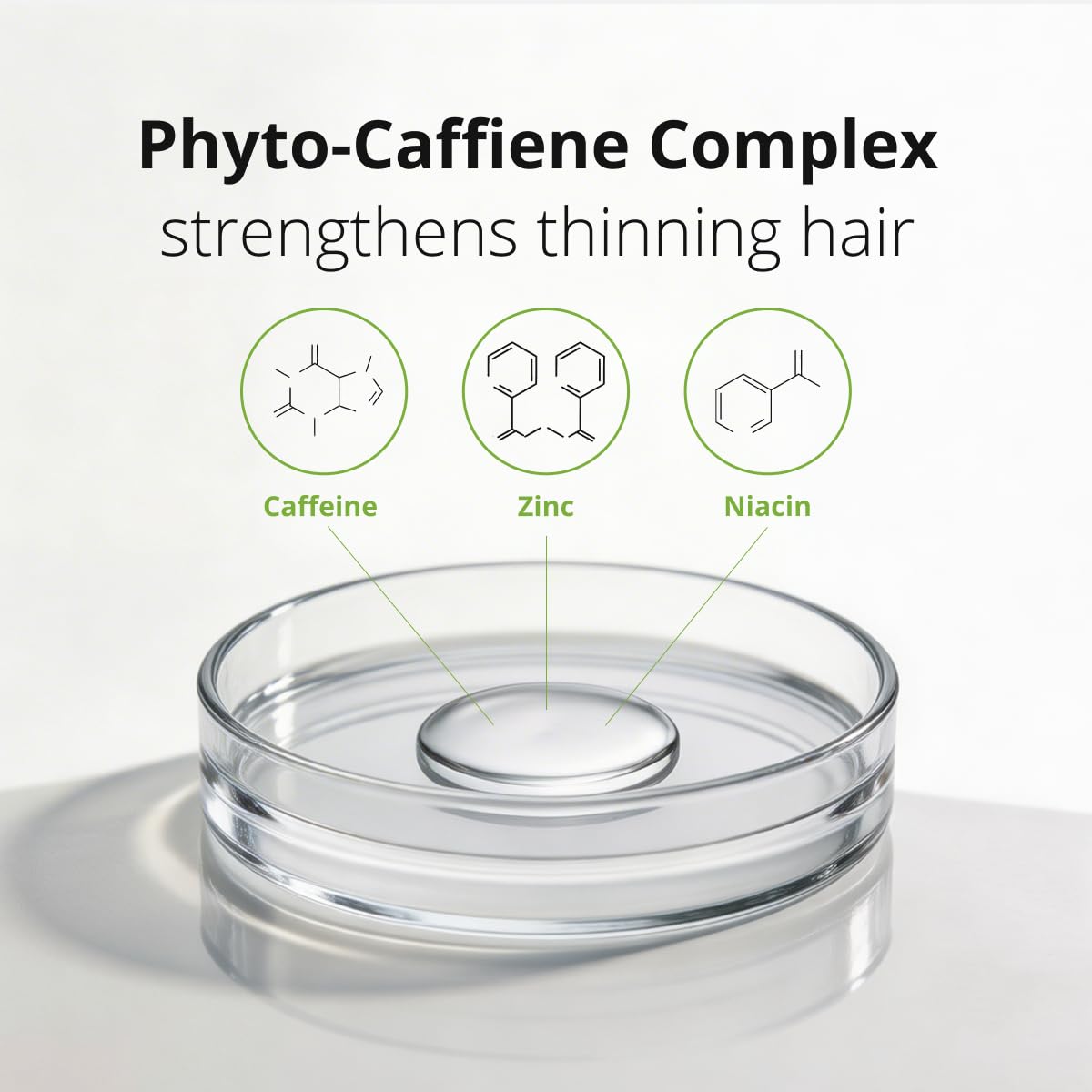 Plantur 39 Fine and Brittle Hair Shampoo and Conditioner Bundle I Promotes Natural Hair Growth I Phyto-Caffeine Formula I Shampoo (8.45 Oz)