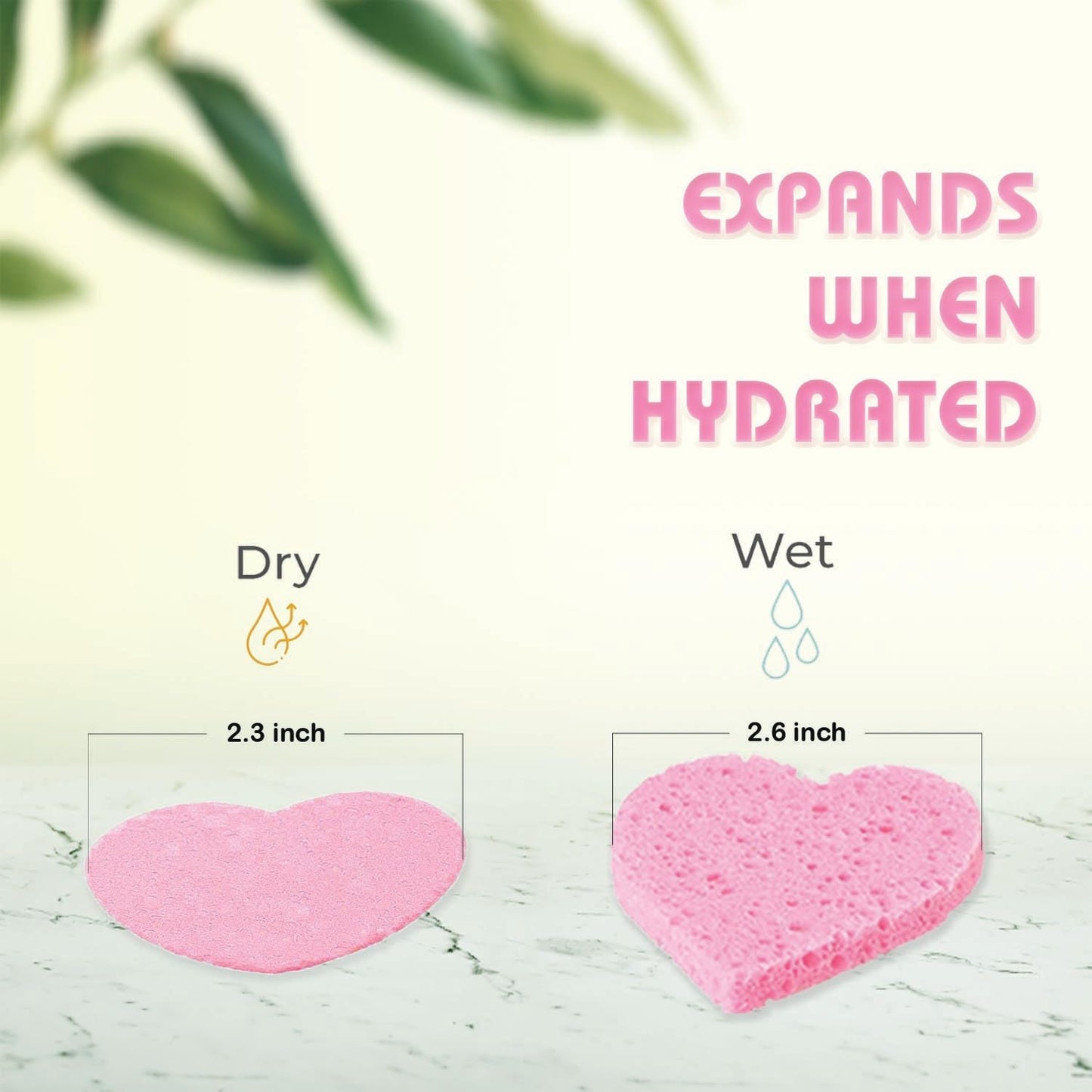 60-Count Compressed Facial Sponges | Makeup Remover Sponge | 100% Natural Cosmetic Spa Sponges for Facial Cleansing | Exfoliating Mask | Face Scrubber
