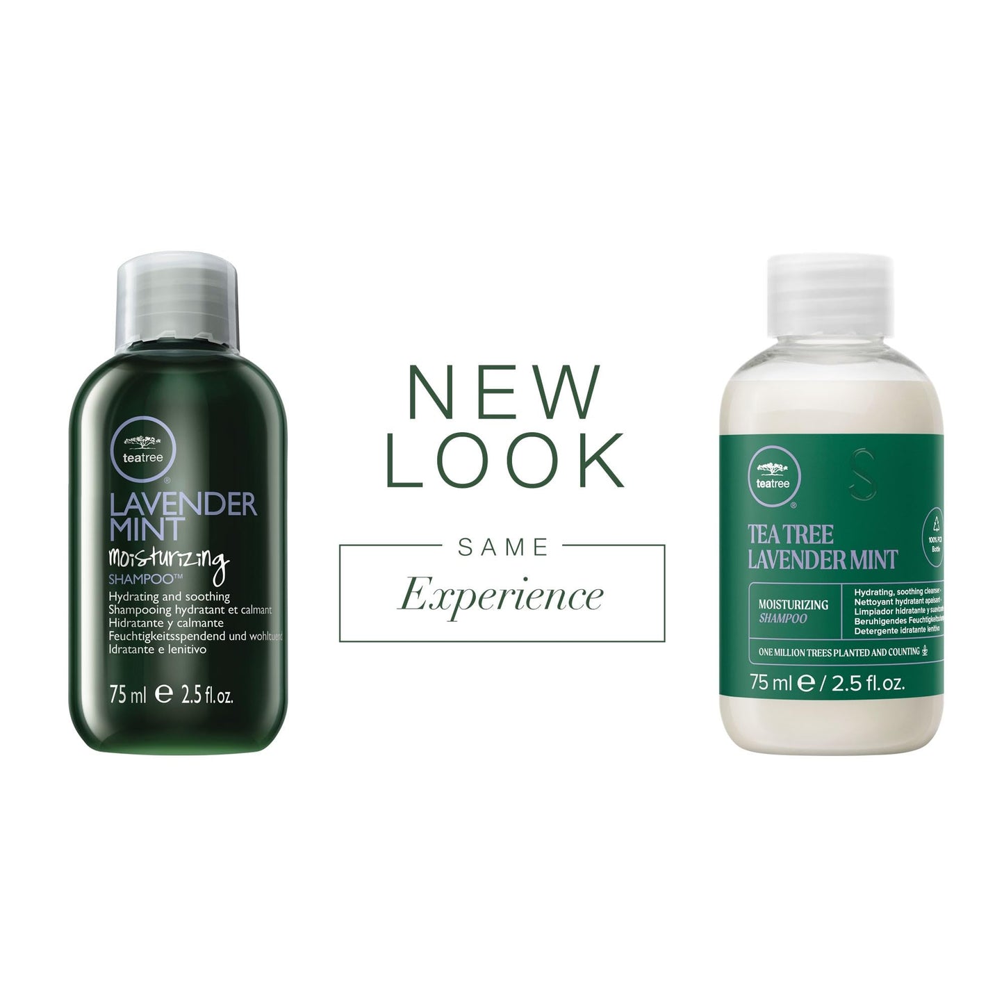 Tea Tree Lavender Mint Moisturizing Shampoo, Hydrates + Soothes, For Coarse + Dry Hair, 2.5 fl. oz.