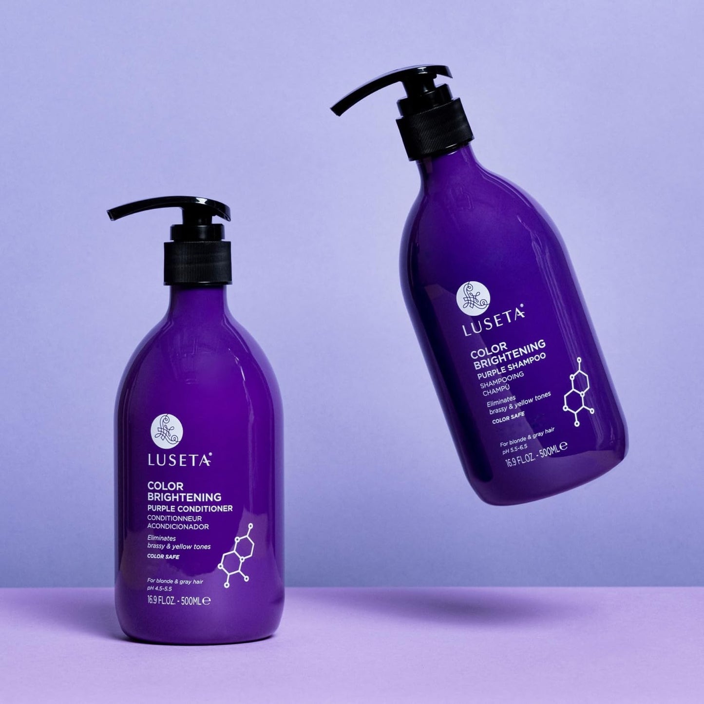 Luseta Purple Shampoo and Conditioner Set for Blonde, Gray - Color Treated Hair - Sulfate Free Paraben Free - Infused with Cocos Nucifera Oil