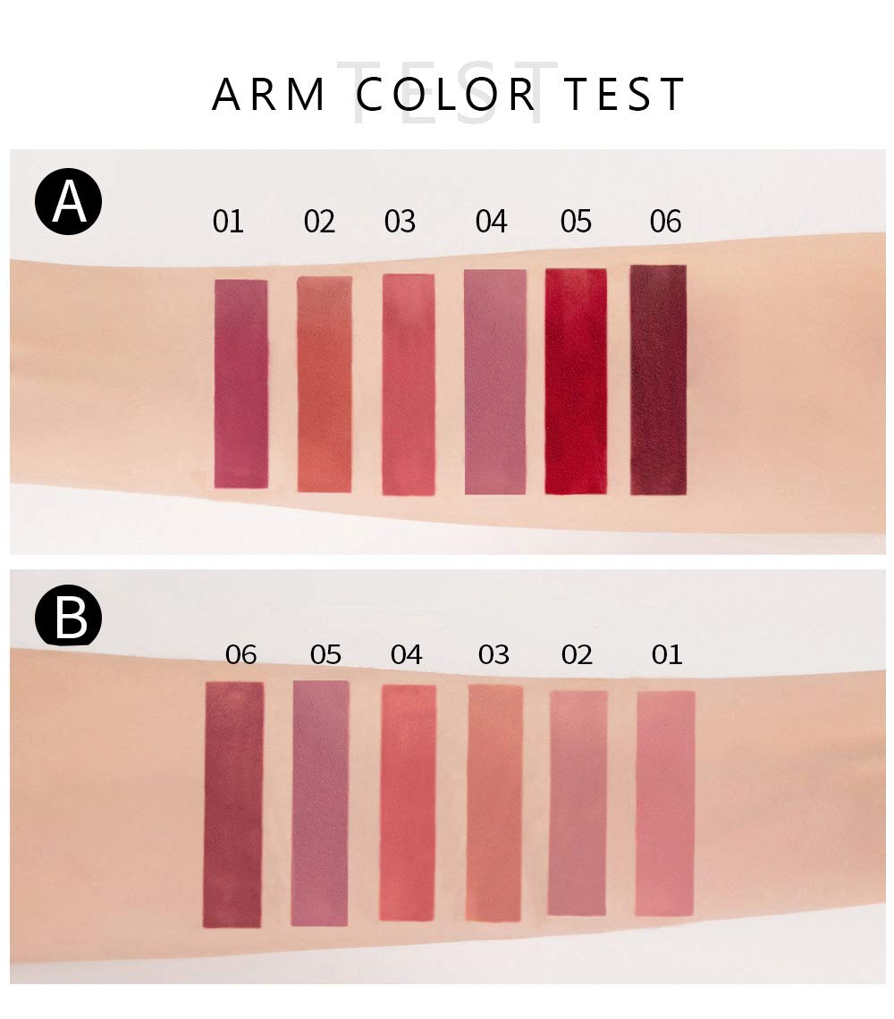 6Pcs Matte Liquid Lipstick Makeup Set, Matte liquid Long-Lasting Wear Non-Stick Cup Not Fade Waterproof Lip Gloss (Set A) Beauty and Personal Care BestLand