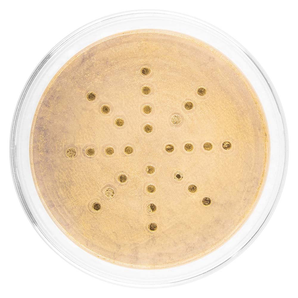 SHANY HD Finishing Powder Translucent - Paraben Free - FLAWLESS TOUCH