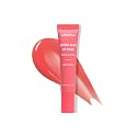 Butter Bliss Lip Balm (014, Peachy Passion)