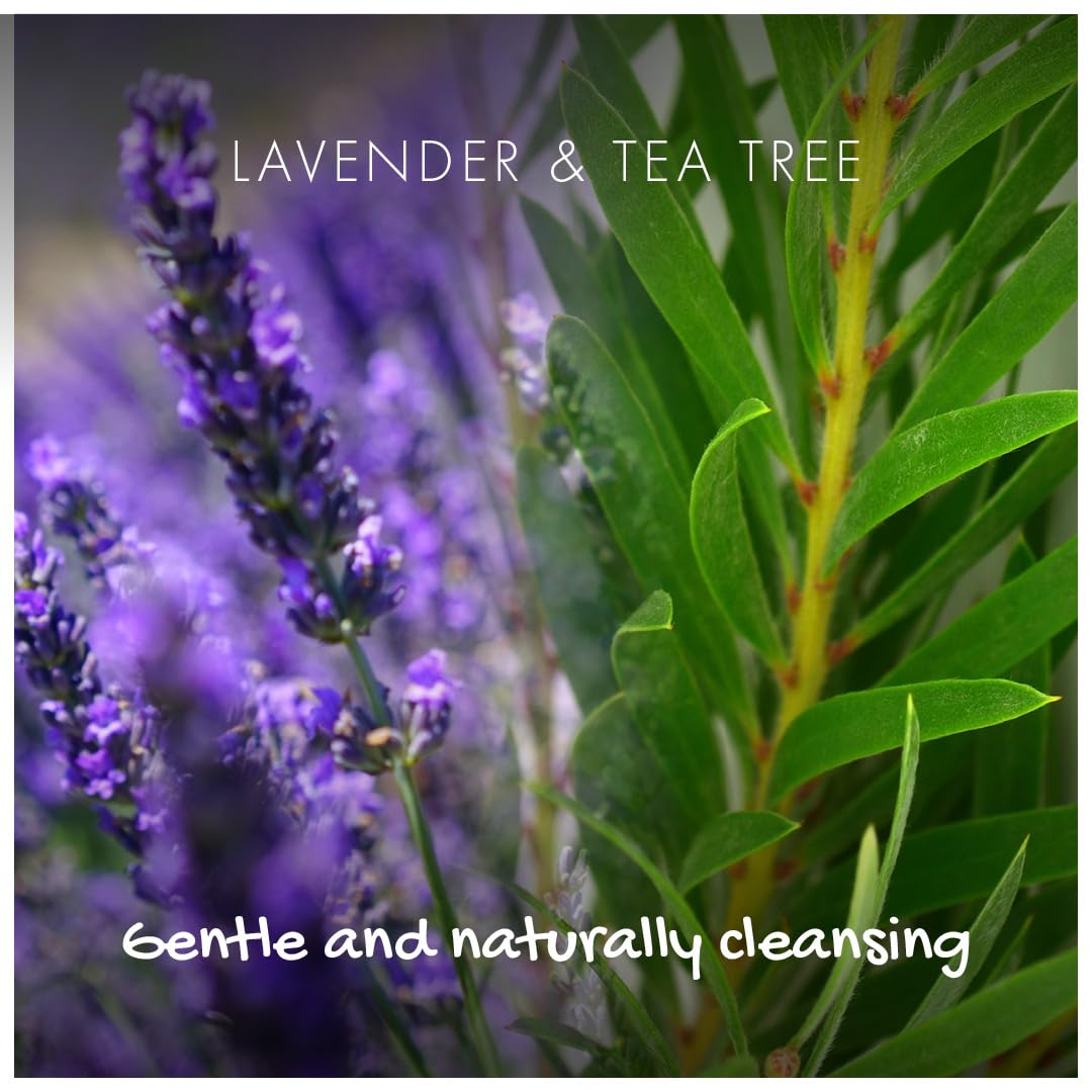 FRIENDLY SOAP Lavender Tea Tree Conditioner Bar, 95 GR