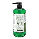 Archipelago Botanicals Morning Mint Body Wash, Moisturizing Body Wash for Dry and Sensitive Skin, Invigorating Shower Gel, Free from Parabens