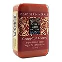 ONE WITH NATURE DEAD SEA BAR SOAP,GRP GVA, 7 OZ