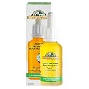 Corpore Sano Musk Rose Oil with Sweet Almonds Oil/Aceite de Rosa Mosqueta con Aceite de Almendras Dulces Nourishes & Revitilizes the Skin .Certified