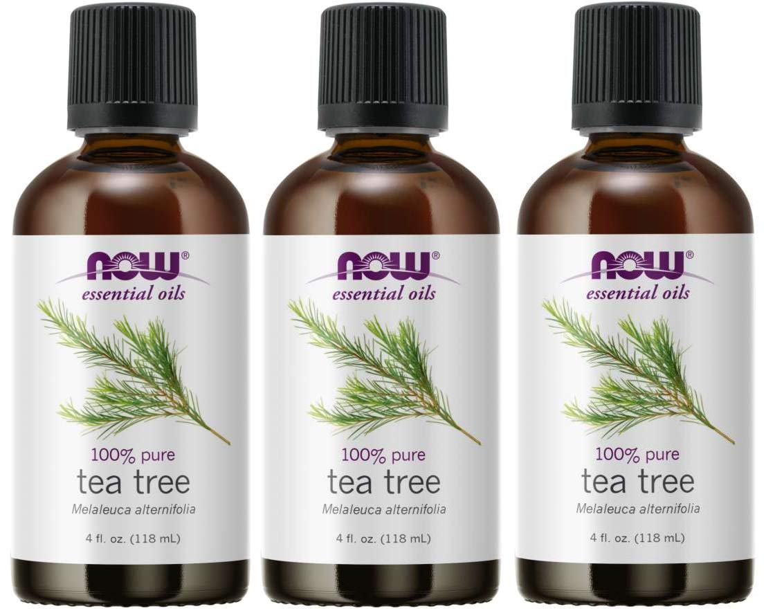 Now Foods Tea Tree Oil, 4 Ounces, Pack of 3
