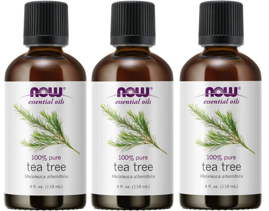 Now Foods Tea Tree Oil, 4 Ounces, Pack of 3