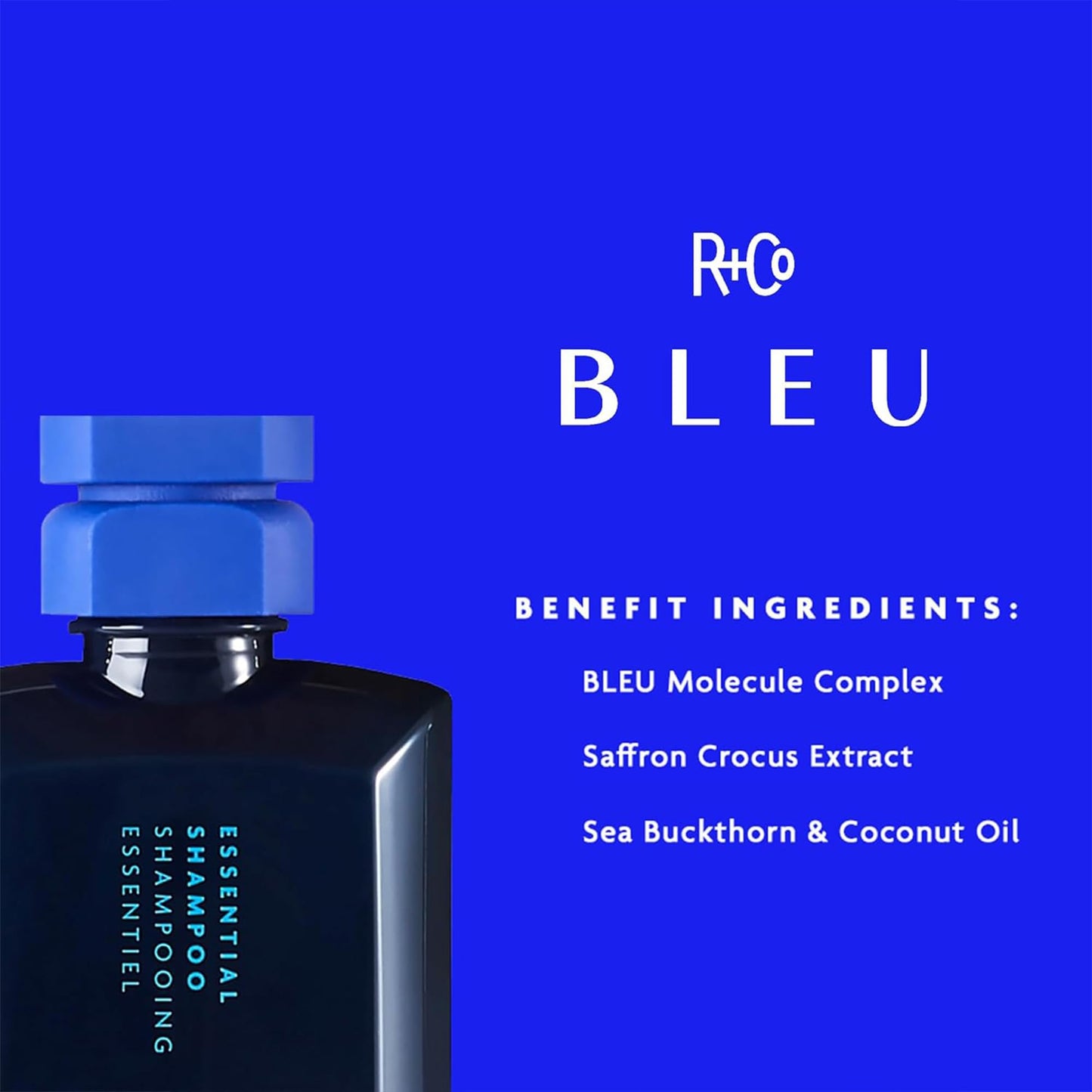 R+Co BLEU Essential Shampoo and Conditioner Set - Daily Cleansing & Lightweight Hydration for All Hair Types - Smooths, Repairs, Detangles & Adds