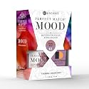 LeChat Perfect Match Mood Duo Set - Dusty Rose, (PMMDS61) Beauty & Personal Care LECHAT