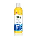Alba Botanica Repair & Refresh Shampoo, Ocean Surf, 12 Oz