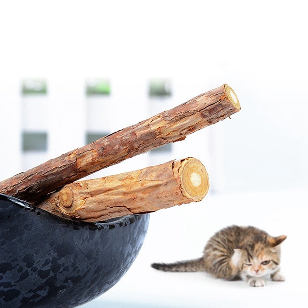 WoLover Silvervine Sticks for Cats, Natural Catnip Matatabi Chew Sticks Teeth Molar Chew Toys for Cat Kitten Kitty (at Least 12 PCS)