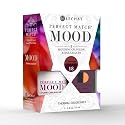 LeChat Perfect Match Mood Duo Set - Ccrimson Nightfall Beauty & Personal Care LECHAT