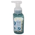Bath & Body Works Gentle Foaming Hand Soap Bergamot Waters