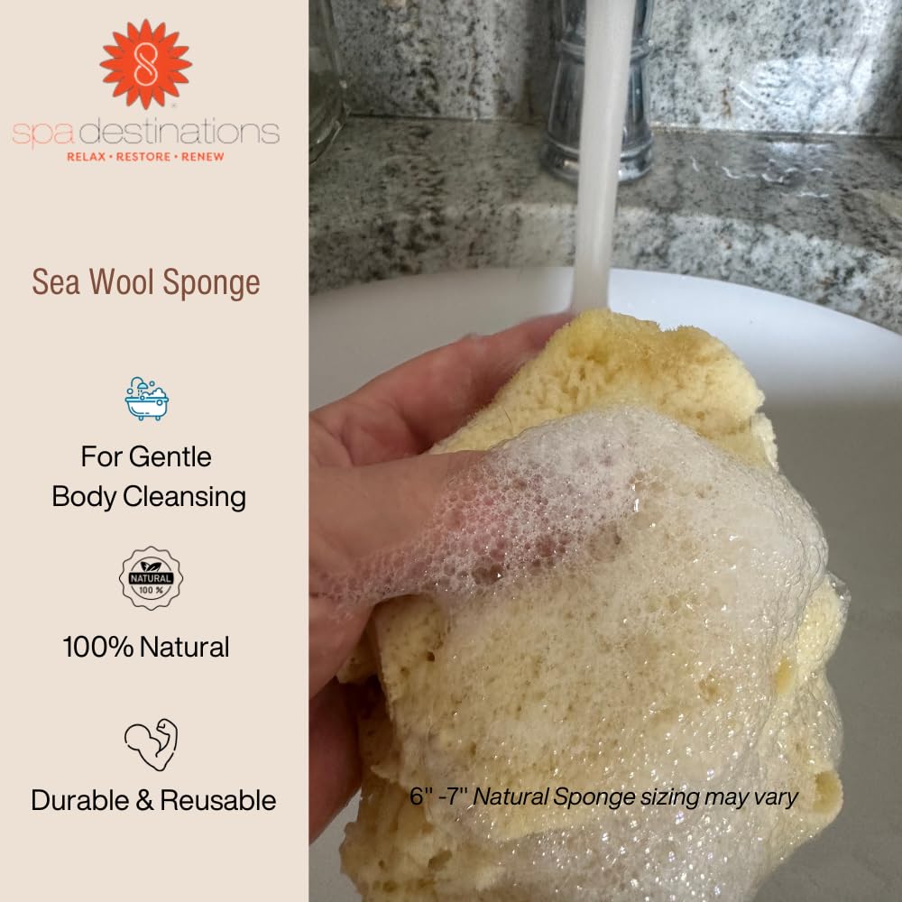Spa Destinations Natural Sea Wool Sponge 6-7" Natural Renewable Resource Beauty and Personal Care Spa Destinations